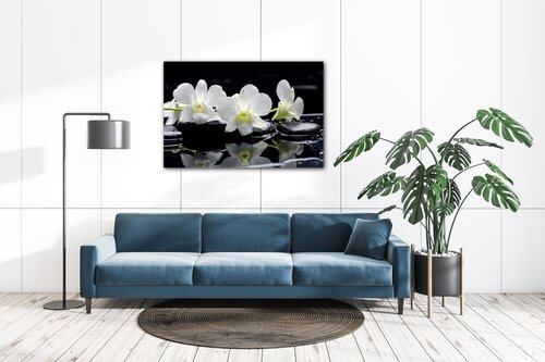 Tablou White orchids black background - 60 x 40 cm
