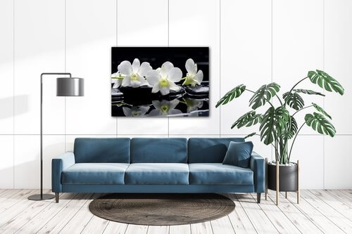 Tablou White orchids black background - 70 x 50 cm