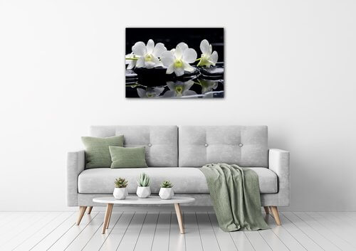 Tablou White orchids black background - 70 x 50 cm