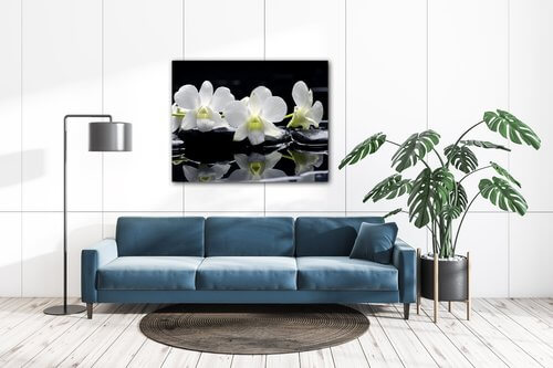 Tablou White orchids black background - 90 x 70 cm