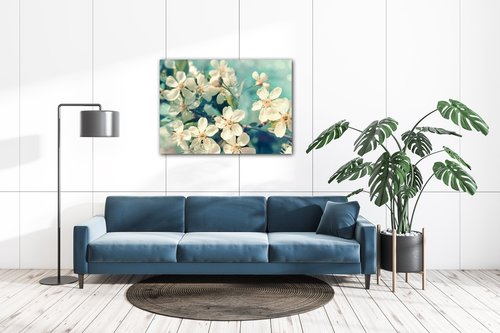 Tablou Blue background cherry blossom - 70 x 50 cm
