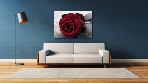 Tablou Red rose black and white background - 70 x 50 cm