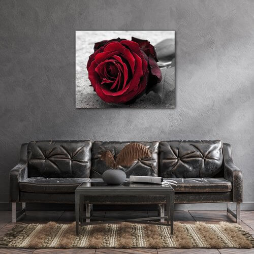 Tablou Red rose black and white background - 90 x 70 cm