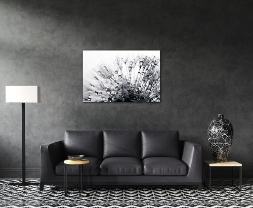 Tablou Flower with little drops of water - 60 x 40 cm