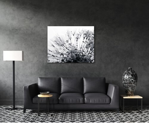 Tablou Flower with little drops of water - 90 x 70 cm