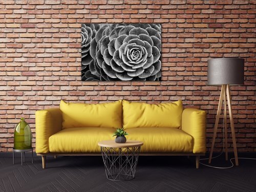 Tablou Black and white blossom - 70 x 50 cm