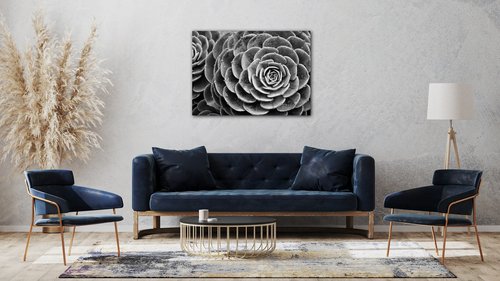 Tablou Black and white blossom - 70 x 50 cm