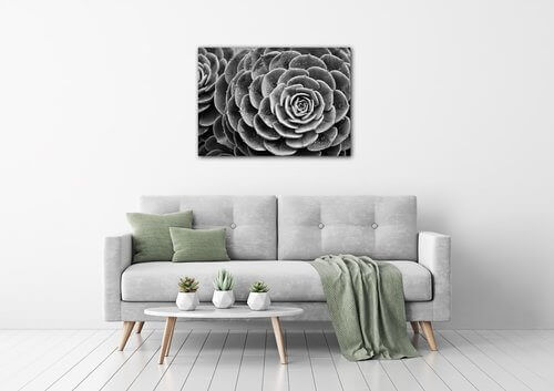 Tablou Black and white blossom - 70 x 50 cm