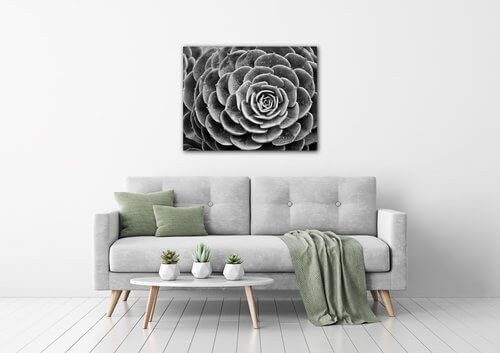 Tablou Black and white blossom - 90 x 70 cm