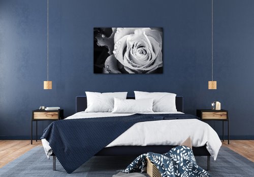 Tablou Black and white rose with drops of water - 60 x 40 cm