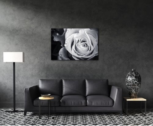 Tablou Black and white rose with drops of water - 60 x 40 cm