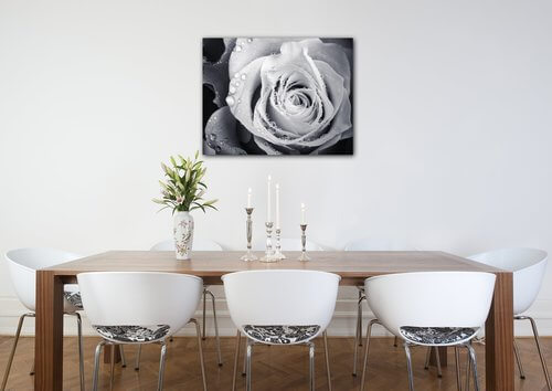 Tablou Black and white rose with drops of water - 90 x 70 cm