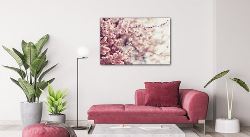 Tablou Light pink blossom on the tree - 90 x 60 cm