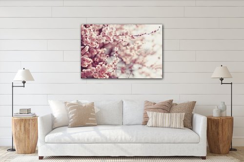 Tablou Light pink blossom on the tree - 90 x 60 cm