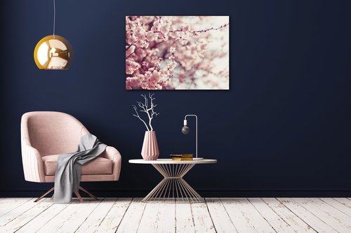 Tablou Light pink blossom on the tree - 70 x 50 cm