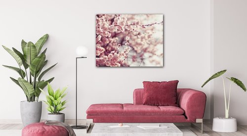 Tablou Light pink blossom on the tree - 90 x 70 cm