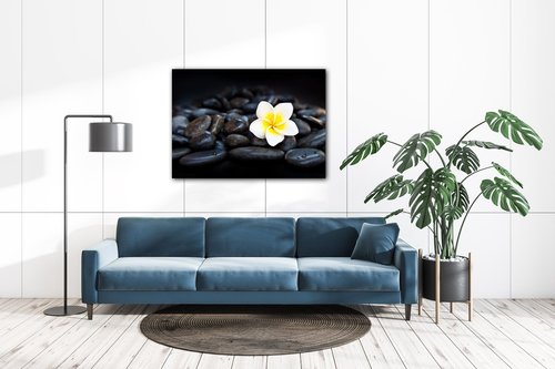 Tablou White blossom on black stones - 70 x 50 cm