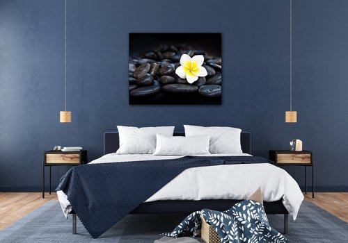 Tablou White blossom on black stones - 90 x 70 cm