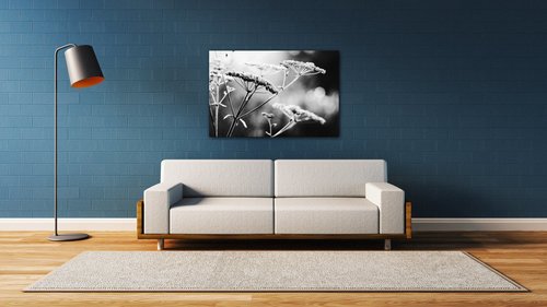 Tablou Black and white meadow flower - 90 x 60 cm