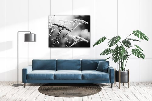 Tablou Black and white meadow flower - 90 x 70 cm