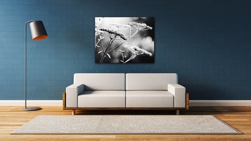 Tablou Black and white meadow flower - 90 x 70 cm