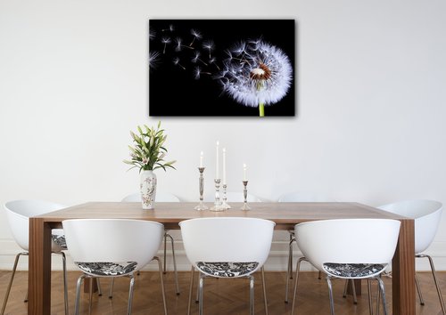 Tablou Dandelion black and green - 60 x 40 cm