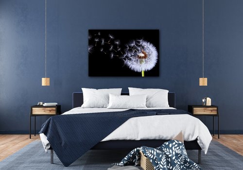 Tablou Dandelion black and green - 60 x 40 cm