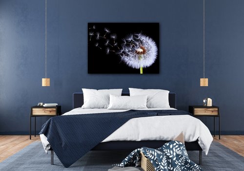 Tablou Dandelion black and green - 70 x 50 cm