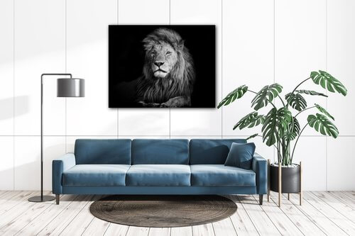 Tablou Lion black and white - 90 x 70 cm