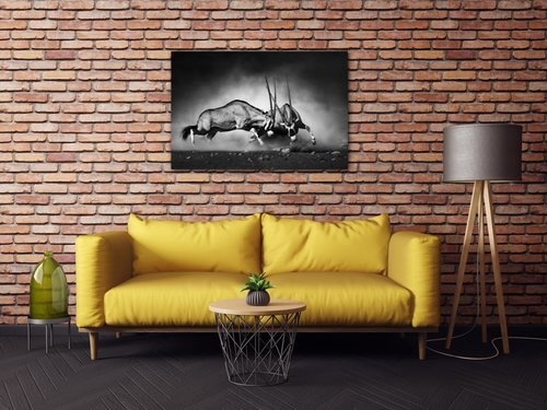 Tablou Antilopes black and white - 90 x 60 cm