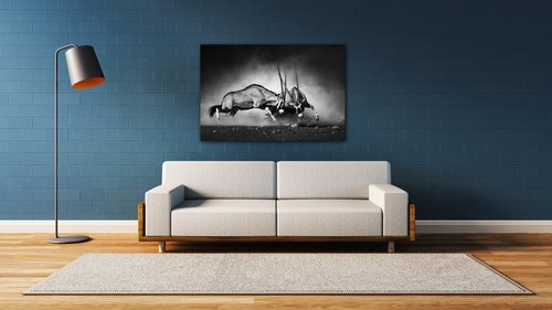 Tablou Antilopes black and white - 90 x 60 cm