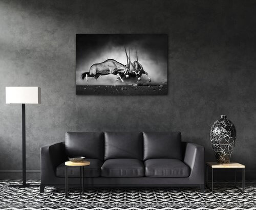 Tablou Antilopes black and white - 90 x 60 cm