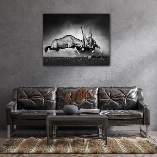Tablou Antilopes black and white - 90 x 70 cm