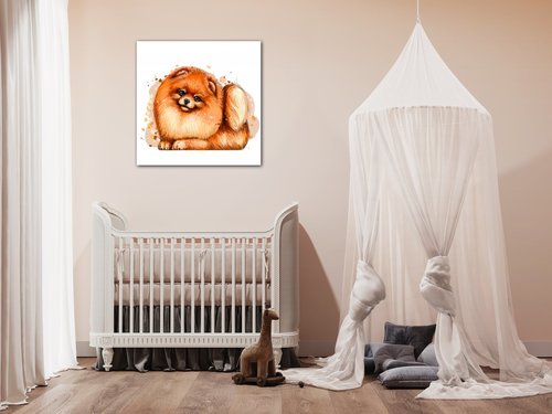 Obraz Dog Pomeranian - 30 x 30 cm