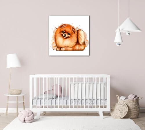 Obraz Dog Pomeranian - 30 x 30 cm
