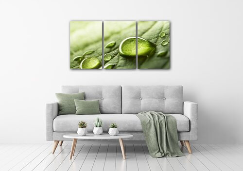 Tablou Drops of water on the leaf - 120 x 60 cm (3-piese)