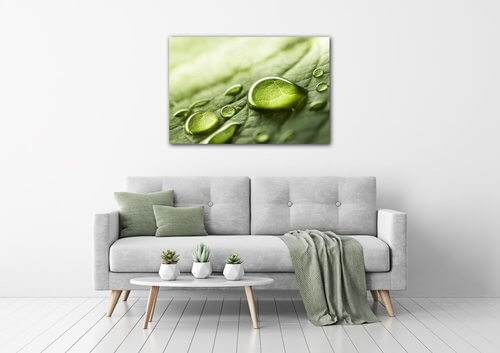 Tablou Drops of water on the leaf - 60 x 40 cm
