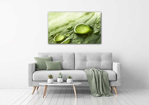 Tablou Drops of water on the leaf - 50 x 30 cm