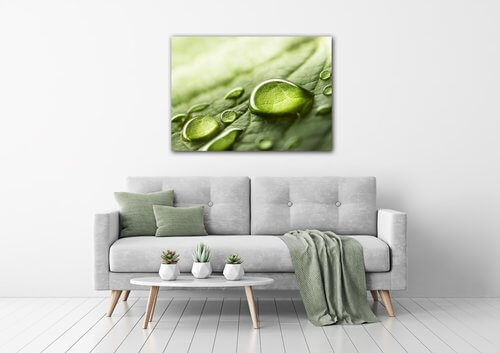 Tablou Drops of water on the leaf - 70 x 50 cm