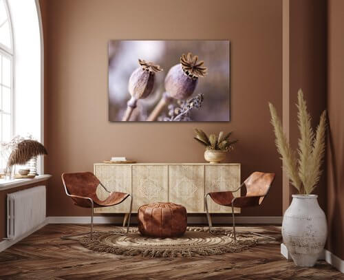 Tablou Dry Poppy flower - 60 x 40 cm