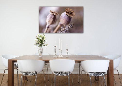 Tablou Dry Poppy flower - 50 x 30 cm