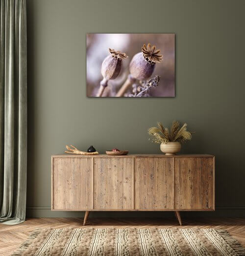 Tablou Dry Poppy flower - 70 x 50 cm