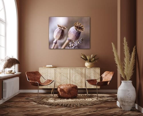 Tablou Dry Poppy flower - 90 x 70 cm