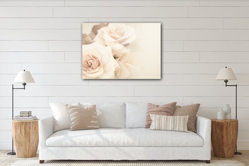 Tablou White roses - 70 x 50 cm