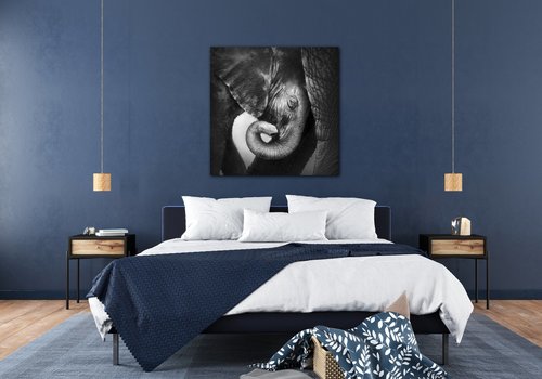 Tablou Elephant black and white - 90 x 90 cm