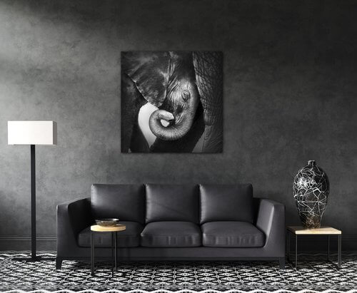 Tablou Elephant black and white - 90 x 90 cm