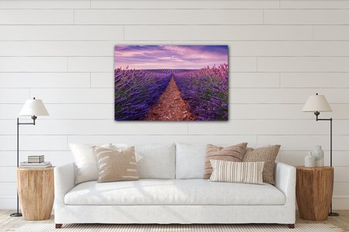 Tablou Lavender field - 90 x 60 cm