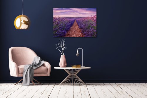 Tablou Lavender field - 90 x 60 cm