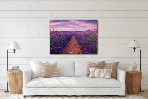 Tablou Lavender field - 70 x 50 cm