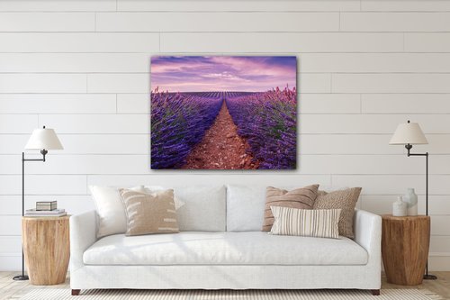 Tablou Lavender field - 90 x 70 cm